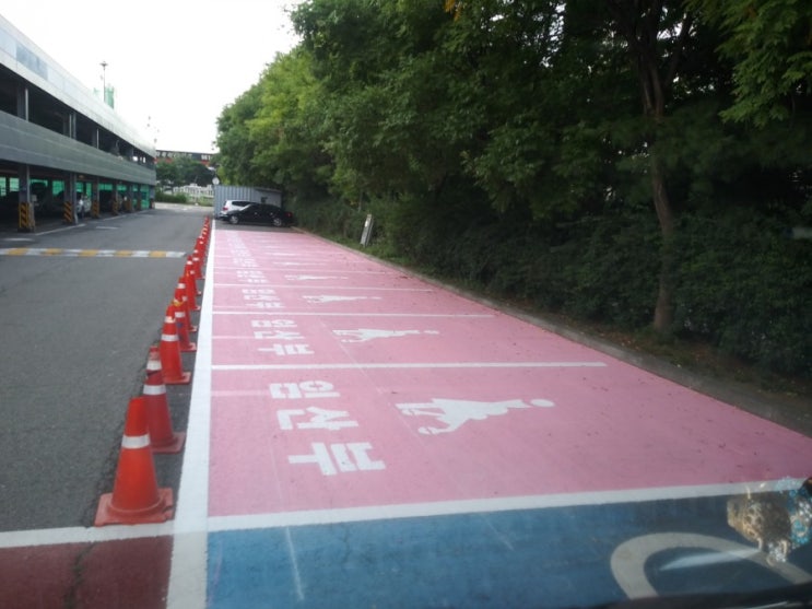  주차장도색, 차선도색