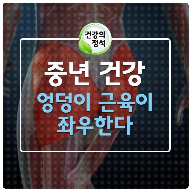  중년 건강 엉덩이 근육이 좌우한다