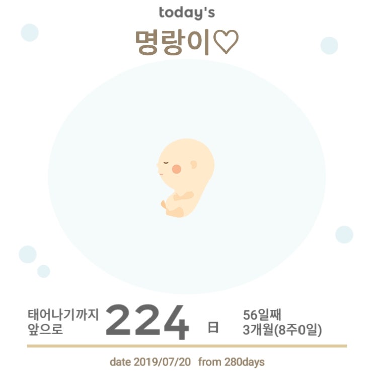 12탄 "입덧지옥에 남편이 할수있는 일" 12탄 "입덧지옥에 남편이 할수있는 일"