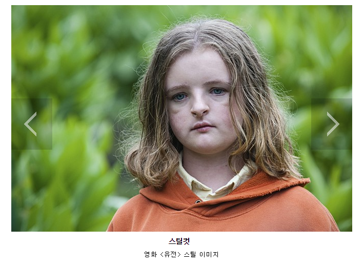  영화 유전 줄거리와 결말 한여름 공포영화로 더위를 씻어요.