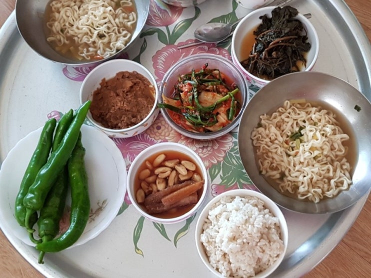  오늘점심메뉴 텃밭채소와 굵은콩된장으로 차린 시골밥 먹고 당파 얻어왔어요 흰고구마 물고구마순 나눔