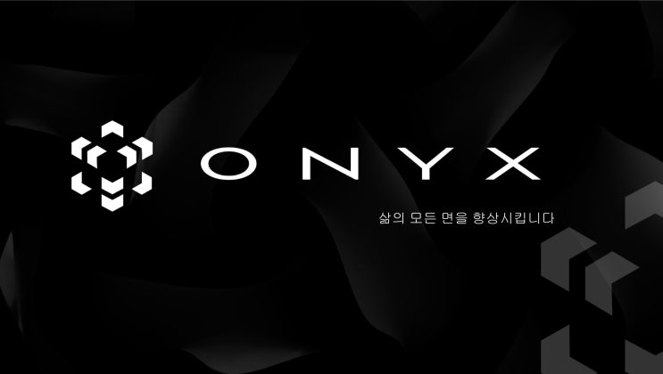  오닉스 ONYXLIFESTYLE 설명