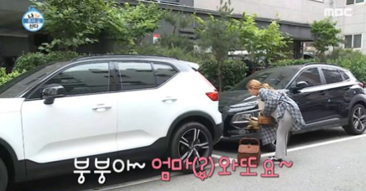  '화사 차' 볼보xc40 선풍적인 인기몰이…가격은? 5천만 원 호가