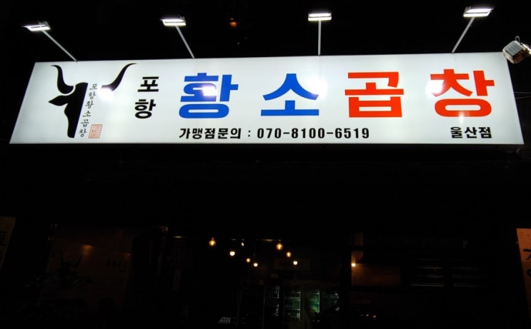  [공업탑 맛집] 포항황소곱창