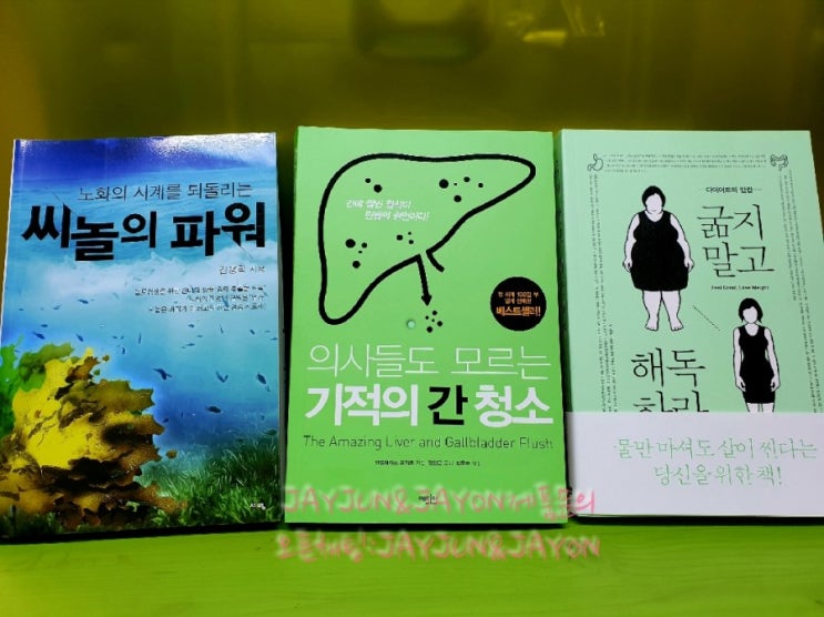  캐치온 간디톡스 (다이어트2단계)