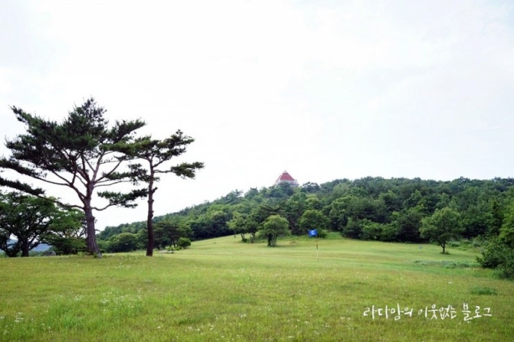  경주 화랑의 언덕 캠핑클럽 2회 촬영지