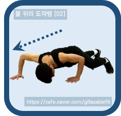  이대로라면 요단강의 기적 - 물 위의 도마뱀