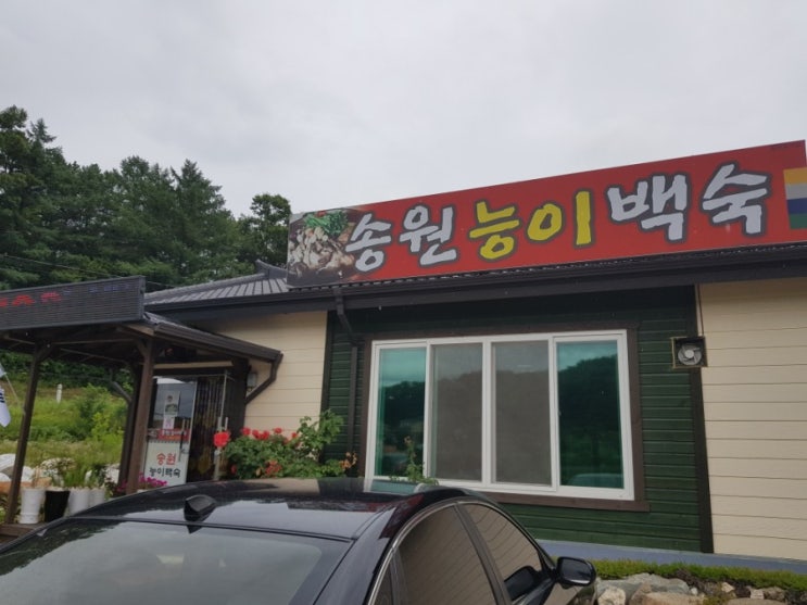  여름 보양식 청주맛집 진천맛집 능이백숙이 일품인 +송원 능이 백숙+ 청주일수