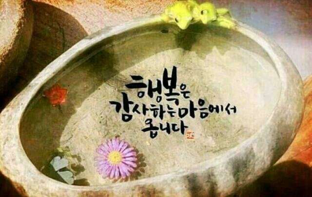 나를 위한 지혜의 글