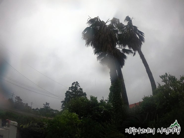 태풍 다나스 경로, 제주도를 지나가는 지금의 날씨 상황