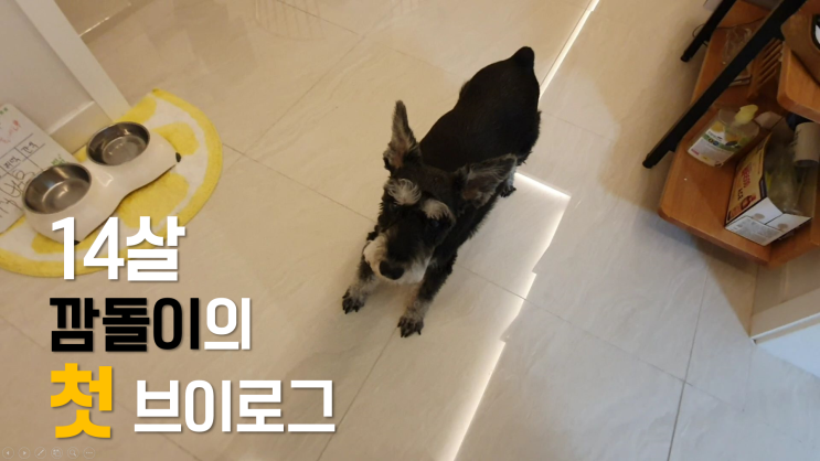  유튜브 입문하기! 첫 동영상 올려보았음!