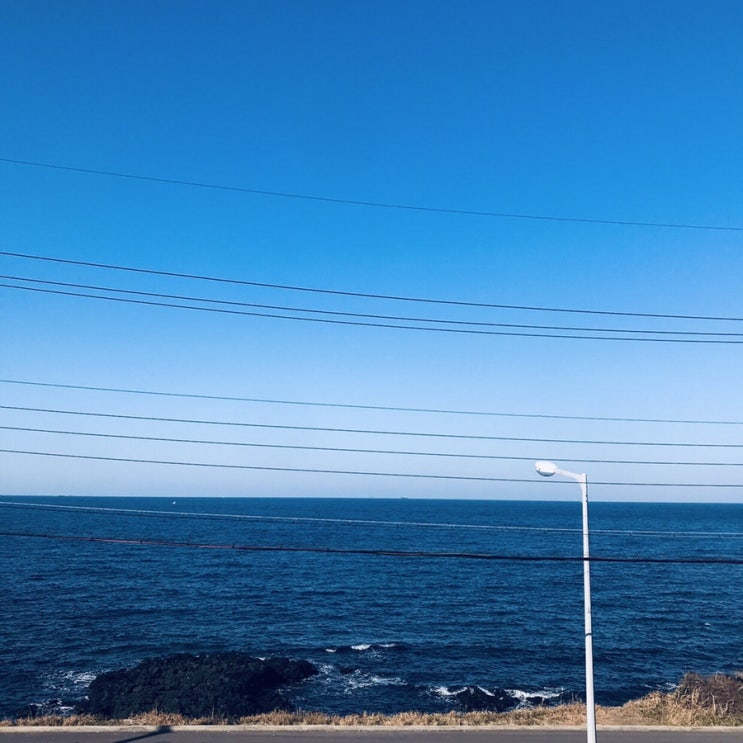  수능 끝난 고3 세명 제주도 간거 들어줄 사람~?_4