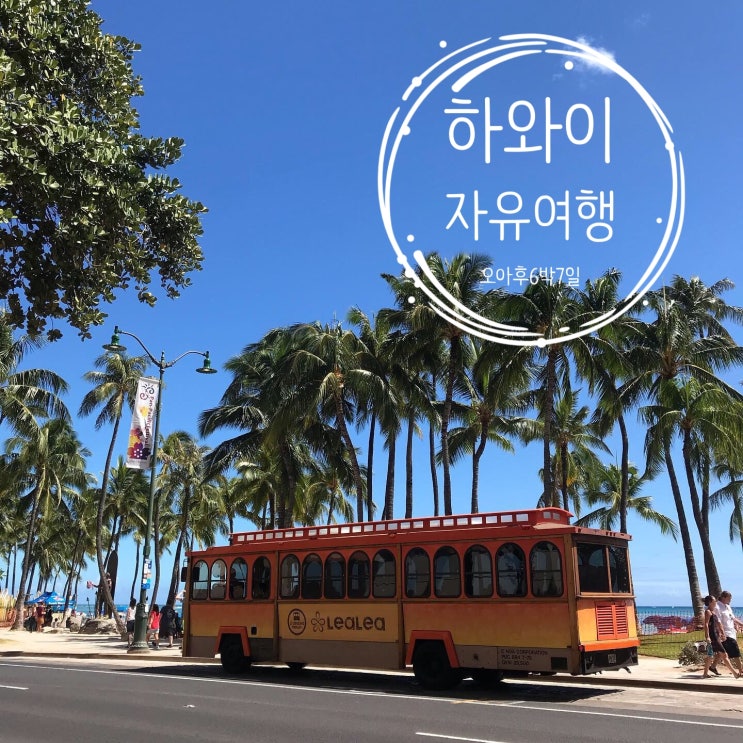  6박 7일 하와이/오아후섬 자유여행 (1)
