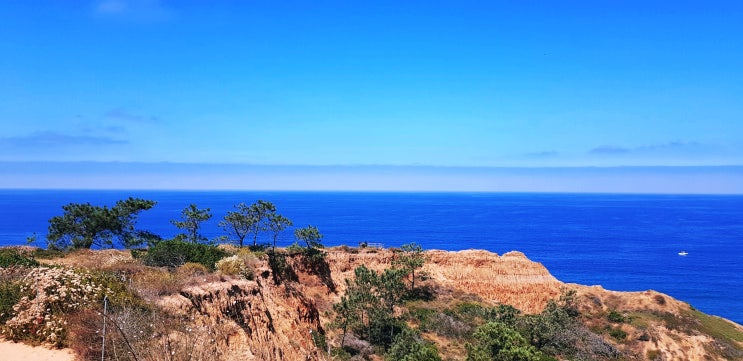  [샌디에고] Torrey Pines State Reserve