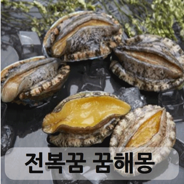  전복꿈 꿈 풀이 해몽