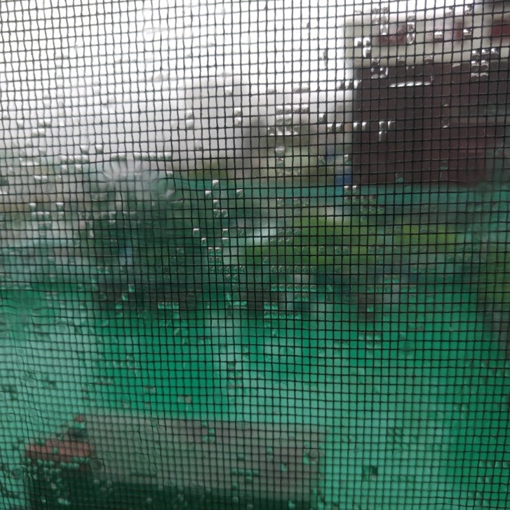  부산 호우경보 시간당 예상강수량8.0mm 대박..ㅠㅠ