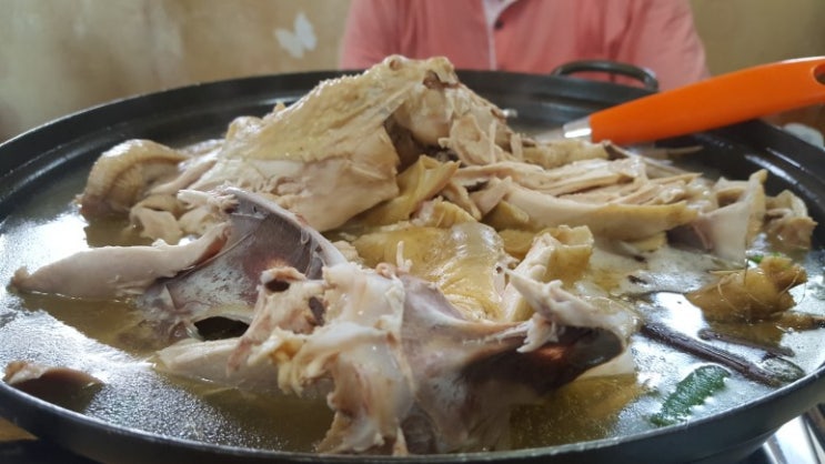  중복, 토종닭, 복달임~ ,닭 수명