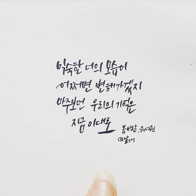  [손글씨/캘리그라피] 봄바람 워너원