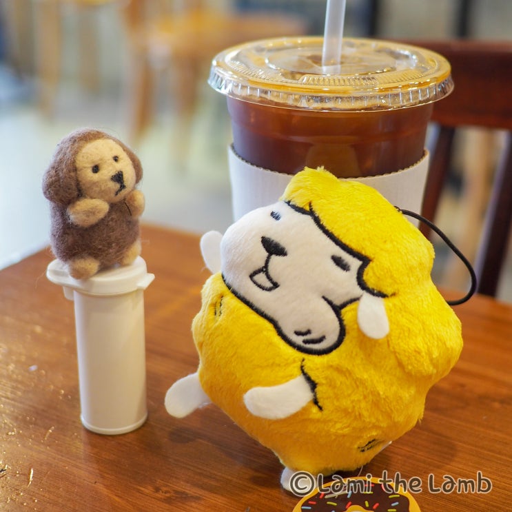  SICAF에서 날아온 슈양 ㅋㅋㅋ