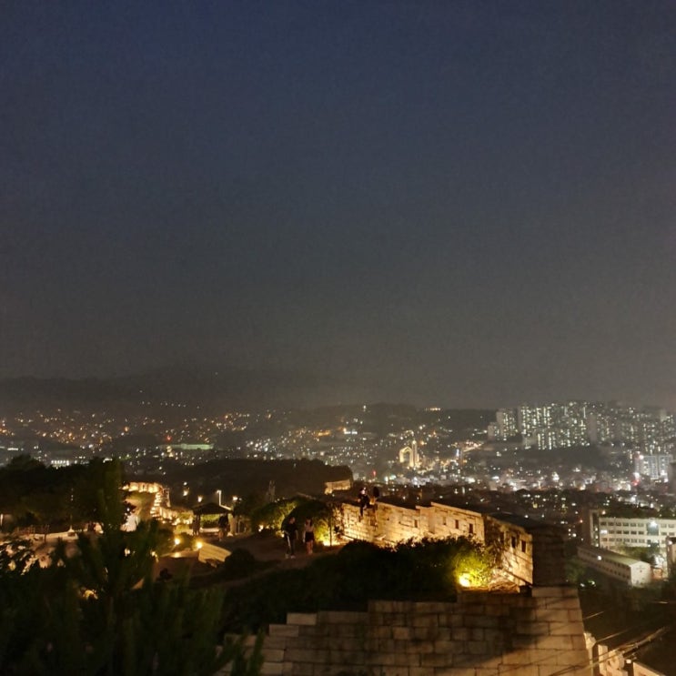  [일상블로그] 7.15 ~ 7.21 비 좀 그만와라 제발