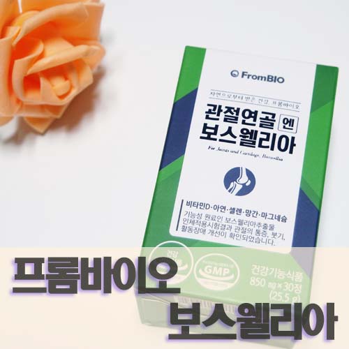  프롬바이오 관절연골엔보스웰리아 먹는방법