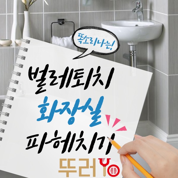  여름철 화장실벌레(나방파리,모기,초파리 등)퇴치방법을 알려드릴께요