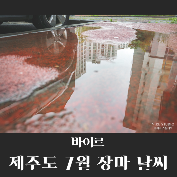  제주도 7월 장마 날씨 비가 너무 내리네 정말!! by바이르