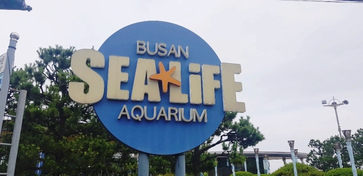  부산아쿠아리움 - SEA LIFE 아이와 함께 가기 좋은 곳