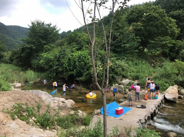 강원도 홍천 글램핑장 정보 공유. 강원도 홍천 글램핑장 정보 공유.
