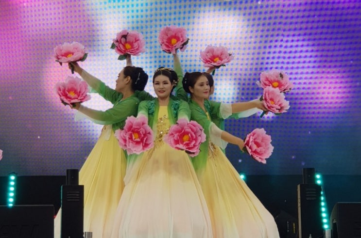  연꽃축제