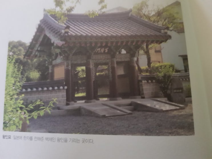  ㅋㅋ 내가 모르는 일본 라이딩