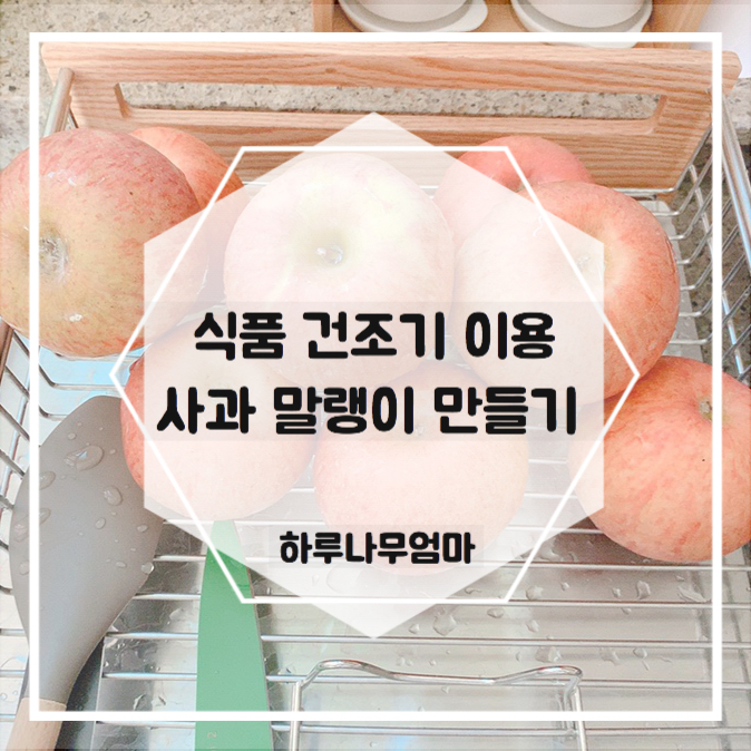  사과말랭이 만들기 식품건조기로 쫀득쫀득 사과 말리기