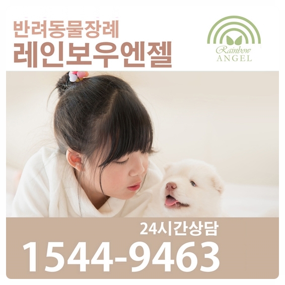 애견장례식장의 가장 합리적인  선택 방법은?