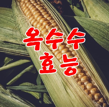  옥수수효능알고보니 이런 것들이 챙겨먹어야 겠습니다.
