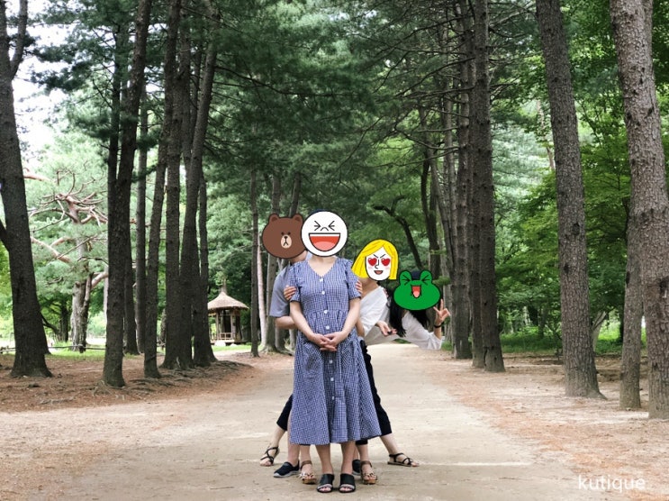  남이섬 가족여행_이용시간 및 짚라인 정보
