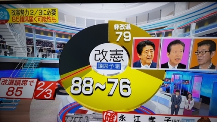일본 참의원 선거결과 출구조사