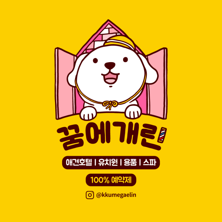  역삼강아지유치원 <꿈에개린> 시설안내
