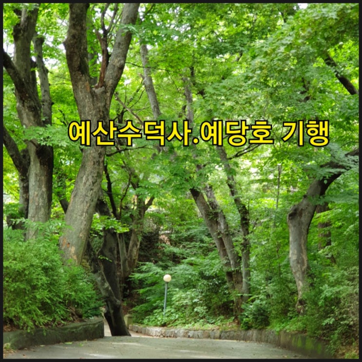  천년의 경치 예산수덕사.육지속의바다예당호출렁다리 기행