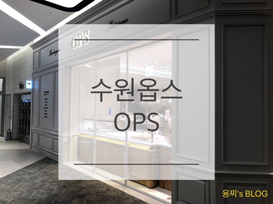  수원역 빵집 ) 예쁘고 맛있는 빵이 가득한 수원역 롯데몰 OPS, 옵스 수원점