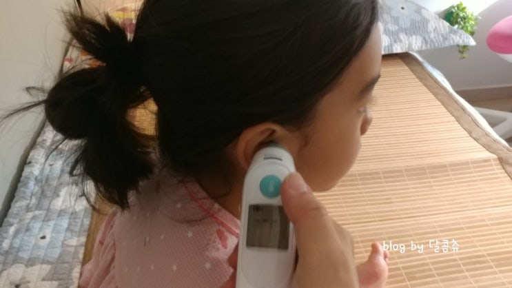  고열을 정확하게 확인 브라운 귀체온계 IRT 6030 구매사용후기 최저가및 구성