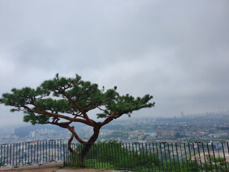  2019.07.21.일요일 일기 - 수원 행궁, 팔달산, 한우갈비집 <가보정>, 영화 <마담싸이코>