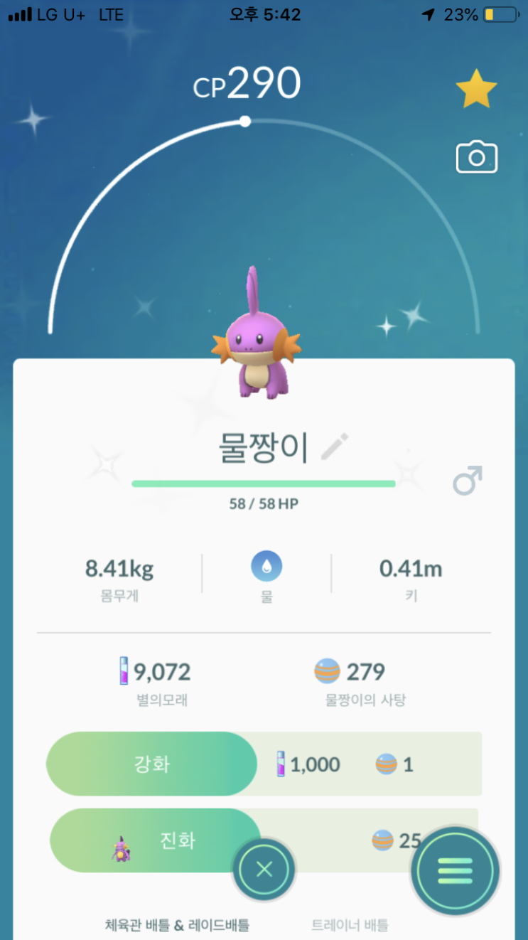  물짱이 이로치