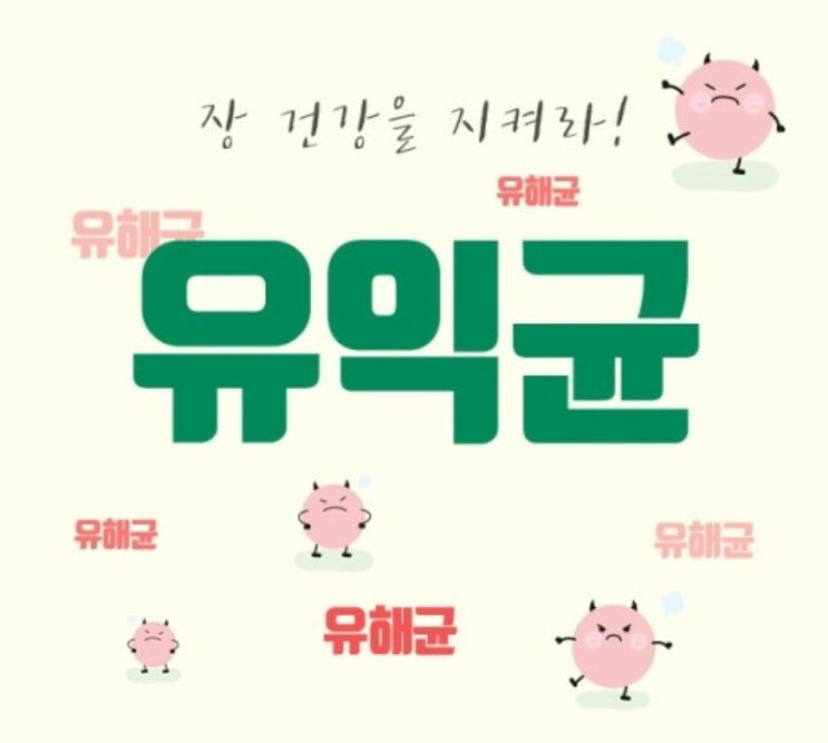  몸속 세균이 하는 일