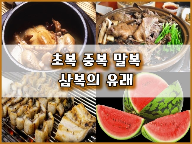  삼복의 유래 _ 초복,중복,말복 음식 _ 보신합시다~