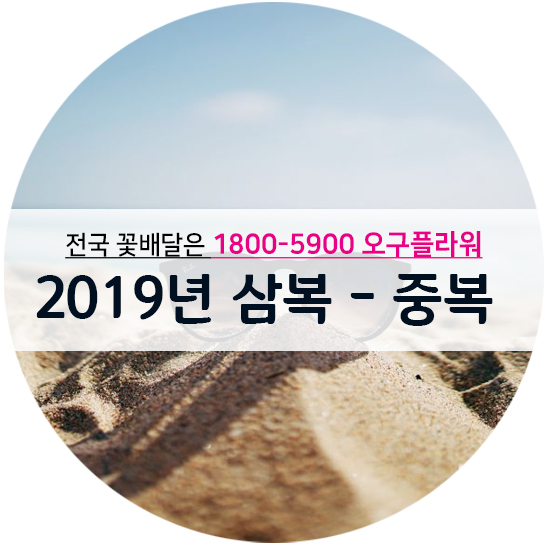  [오구플라워 1800-5900] 2019 중복 - 몸보신 하는법