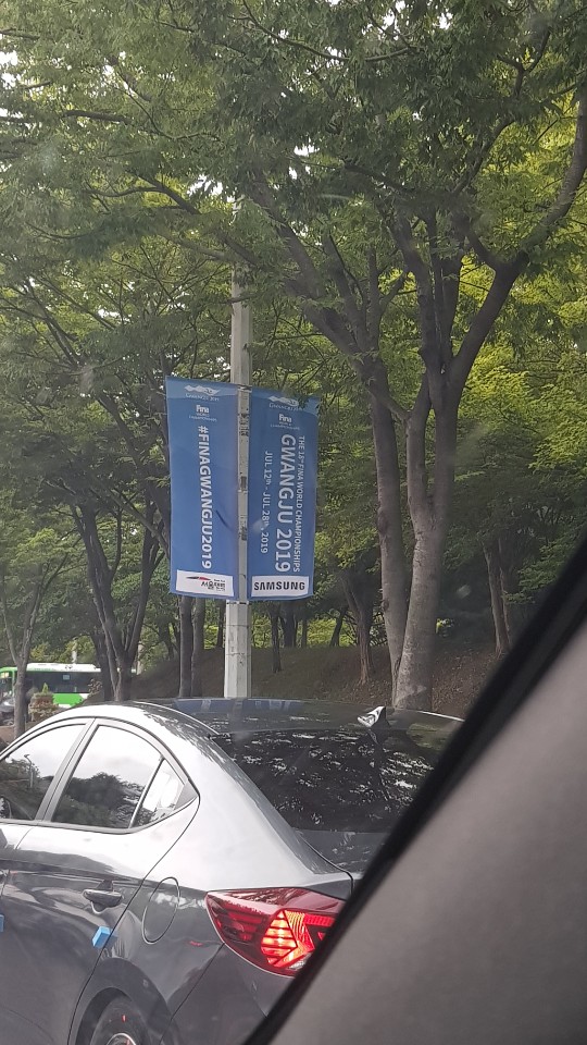  2019광주세계수영선수권대회 관람후기 