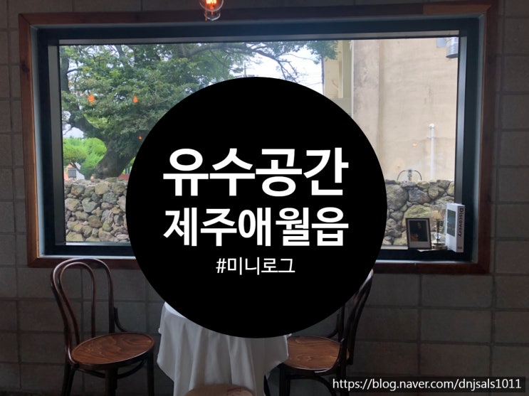  [애월읍/카페] 항몽유적지 해바라기 근처 피크닉세트 대여 가능한 카페, 유수공간