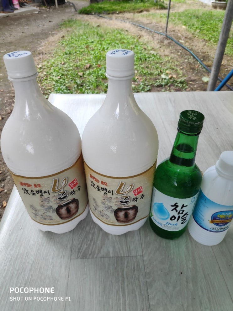  막걸리 트랩 만들기