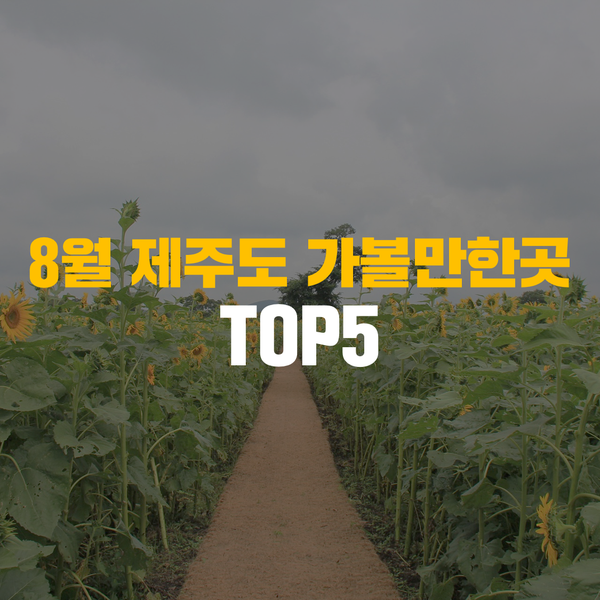  8월 제주도 가볼만한곳 TOP5