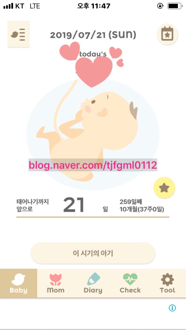  37주,1046일